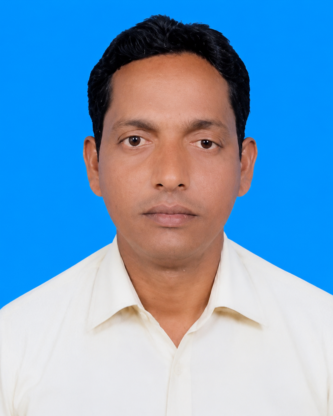 Director